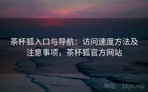 茶杯狐入口与导航：访问速度方法及注意事项，茶杯狐官方网站