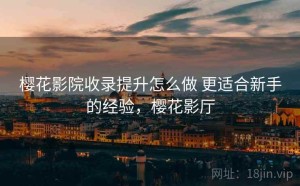 樱花影院收录提升怎么做 更适合新手的经验，樱花影厅