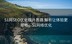 51网SEO优化提升思路 解析让体验更顺畅，51网络优化