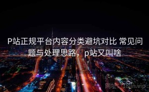 P站正规平台内容分类避坑对比 常见问题与处理思路，p站又叫啥