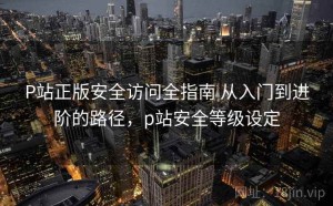 P站正版安全访问全指南 从入门到进阶的路径，p站安全等级设定