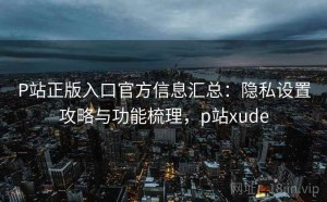 P站正版入口官方信息汇总：隐私设置攻略与功能梳理，p站xude