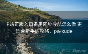 P站正版入口备用网址导航怎么做 更适合新手的攻略，p站xude
