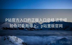 P站官方入口的正版入口总结 这些经验你可能用得上，p站里版官网
