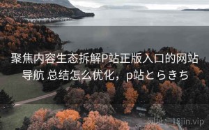 聚焦内容生态拆解P站正版入口的网站导航 总结怎么优化，p站とらきち