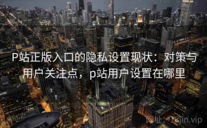 P站正版入口的隐私设置现状：对策与用户关注点，p站用户设置在哪里