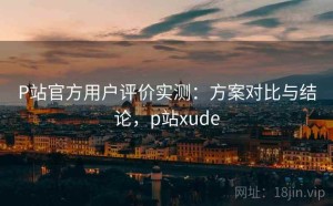 P站官方用户评价实测：方案对比与结论，p站xude