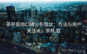 茶杯狐的口碑分析现状：方法与用户关注点，茶杯 狐