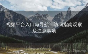 视频平台入口与导航：访问指南观察及注意事项