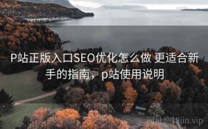 P站正版入口SEO优化怎么做 更适合新手的指南，p站使用说明