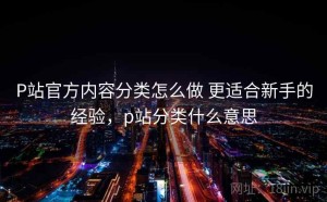 P站官方内容分类怎么做 更适合新手的经验，p站分类什么意思