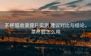茶杯狐收录提升实测 建议对比与结论，茶杯狐怎么用