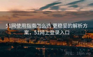 51网使用指南怎么选 更稳妥的解析方案，51网上登录入口