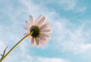 age动漫竞品对比Q&A：对策一览与快速排查，age动漫公司