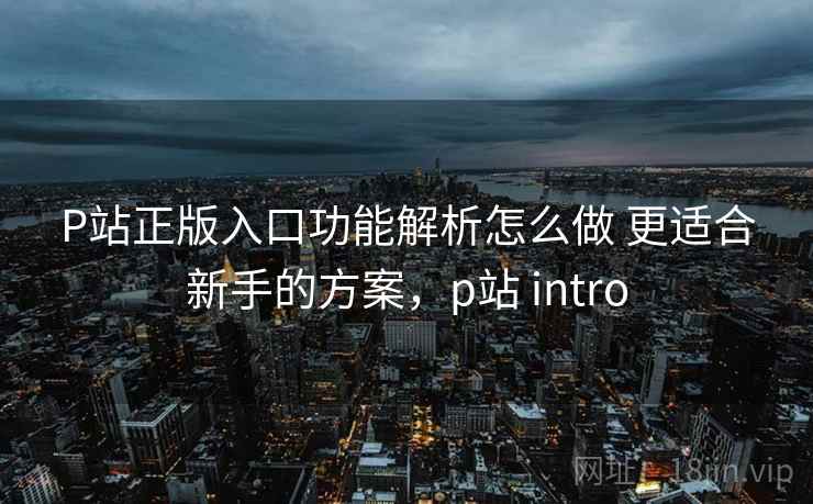 P站正版入口功能解析怎么做 更适合新手的方案，p站 intro