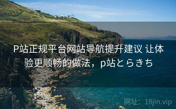 P站正规平台网站导航提升建议 让体验更顺畅的做法，p站とらきち
