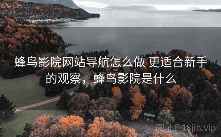蜂鸟影院网站导航怎么做 更适合新手的观察，蜂鸟影院是什么