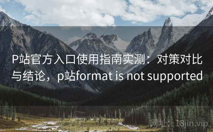 P站官方入口使用指南实测:对策对比与结论,p站format is not supported P站官方入口使用指南实测:对策对比与结论,p站format is not supported