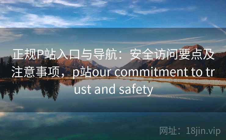 正规P站入口与导航：安全访问要点及注意事项，p站our commitment to trust and safety