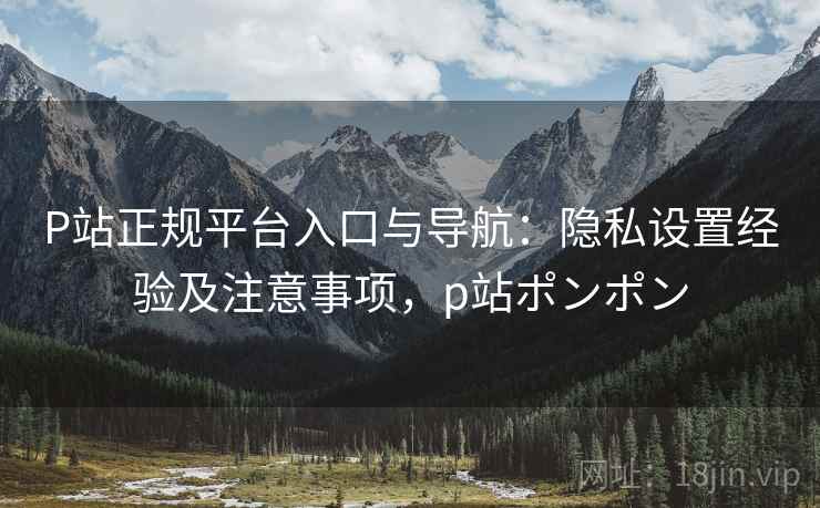 P站正规平台入口与导航:隐私设置经验及注意事项,p站ポンポン P站正规平台入口与导航:隐私设置经验及注意事项,p站ポンポン