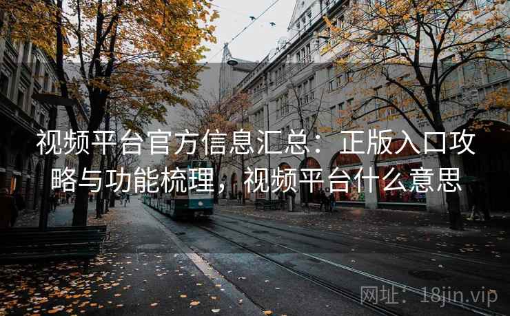 视频平台官方信息汇总：正版入口攻略与功能梳理，视频平台什么意思