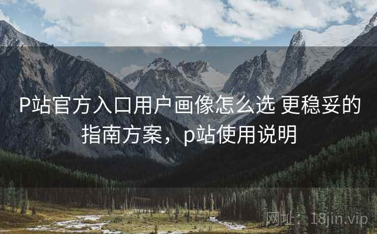 P站官方入口用户画像怎么选 更稳妥的指南方案，p站使用说明